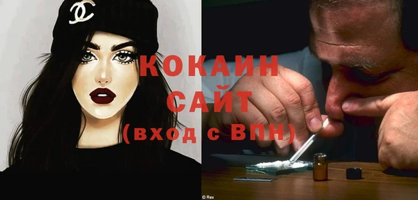 хмурый Мегион