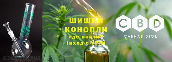 хмурый Мегион
