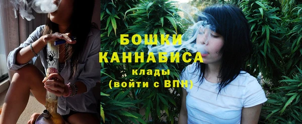 хмурый Мегион