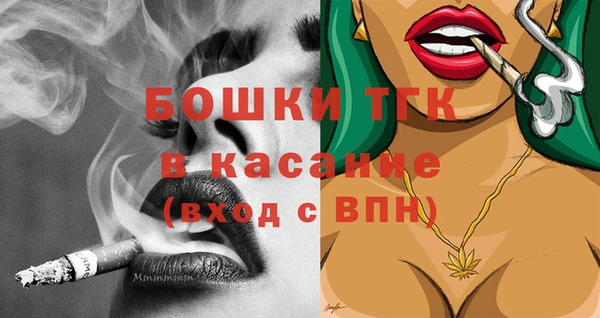хмурый Мегион