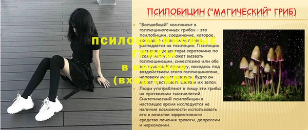 ПСИЛОЦИБИНОВЫЕ ГРИБЫ Медвежьегорск