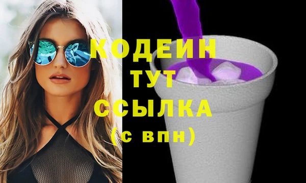 хмурый Мегион